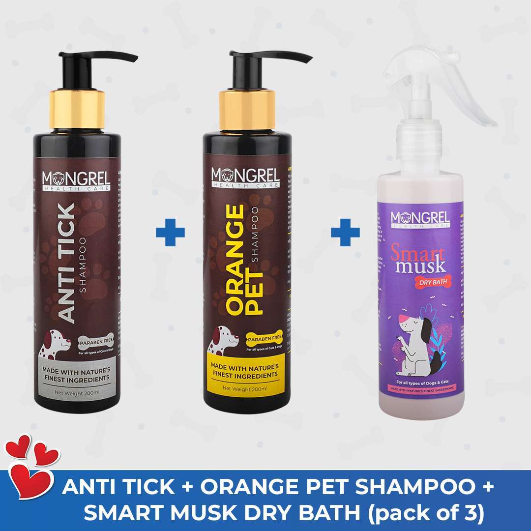Anti-tick-orange-pet-smart-musk-shampoo.jpg Mongrel Healthcare Orange Extract Pet Shampoo 1 Anti Tick and 1 Dry Bath for Dog - Image 1