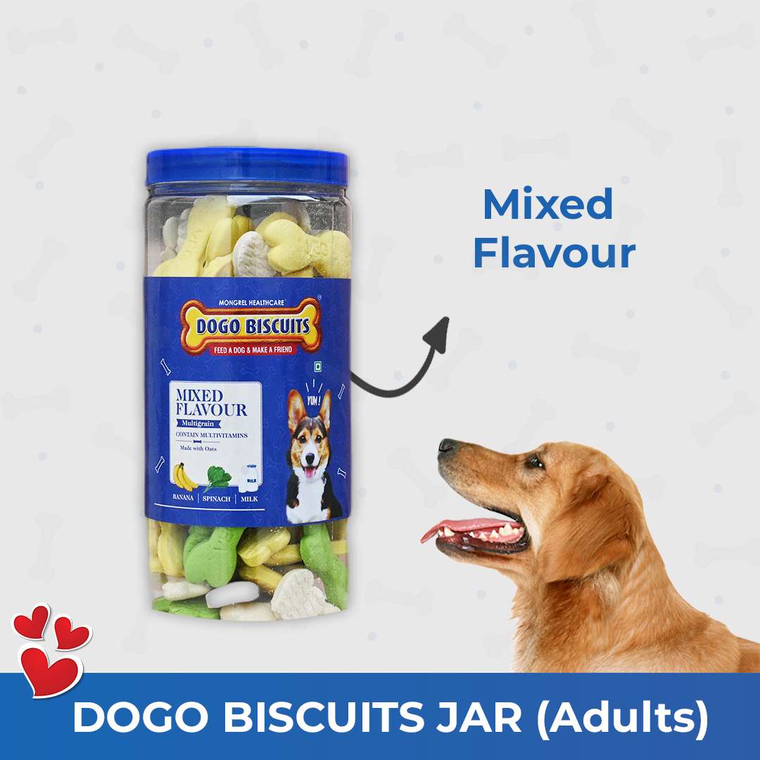Dogo-biscuit-jar-adults-2.jpg Dogo Biscuits Mixed Flavour Adult - Image 1